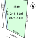 地形図（西側水路あり）