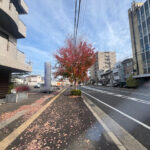 鷺山 戸建住宅 メモリアルセンター約１００ｍ、９７坪の８Ｓ＋１ＬＤＫ＋１ＤＫ 店舗付きです　賃貸や２世帯住宅にも 画像3